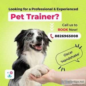 Best Service for Dog Training in Gurgaon at Affordable Prices