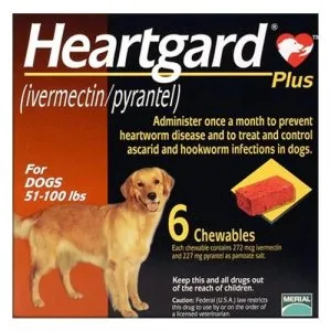 Buy Heartgard Plus Chewables for Large Dog 51-100lbs (Brown) - C
