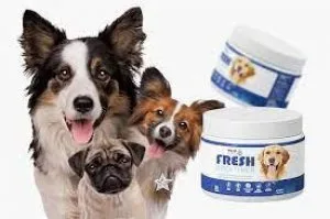 Stinky dog breath Do THIS now