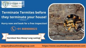Termite control services in goa