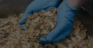 Biomass waste utilization in flavor and fragrance business