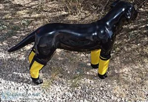 Buy Dog Leggings from My Horse Specialty for the Best Deal