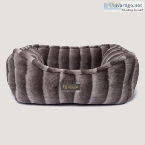 Find the comfortable cool dog beds
