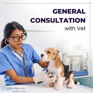 Veterinary Doctor in Noida  Book an Appointment
