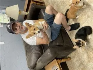 HUNTAWAY PUPPY FOR SALE