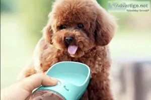 Dog Water BottlePortable Water Bottle For Dogs Or Cats