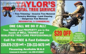 FINANCING FREE ESTIMATE LAND CLEARING FULL SERVICE TREE COMPANY