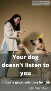 Dog training &ndash the basic commands