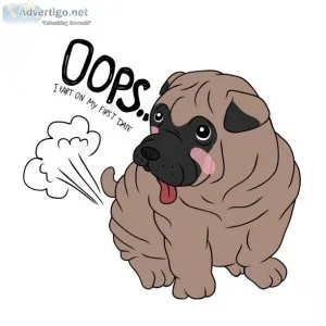 Fart odor eliminator for dogs and people