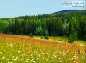 Martinson Barnhartvale acreage