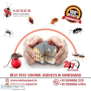 Fogging service in ahmedabad
