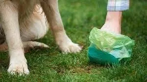 Dog poop service for homes in USA