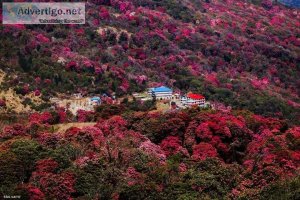 Ghorepani poon hill trek