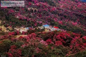 Ghorepani poon hill trek