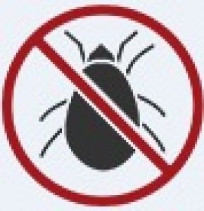 Book professional for pest control brisbane | true pest control