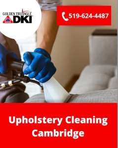 Upholstery Cleaning Cambridge