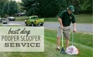 Looking for Dog poop clean up in your Area