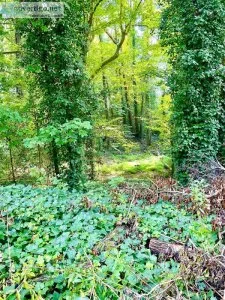 Vacant Adjacent Infill Lots near Downtown Atlanta