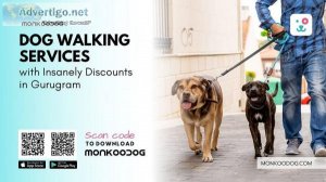 5 Insanely Discounted Dog Walking Services in Gurgaon