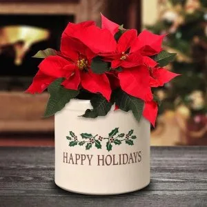 Durable Stoneware Crock with Timeless Design  Oak Park Home