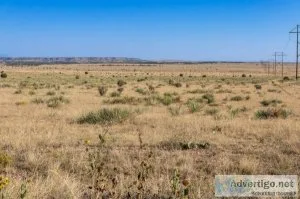 Huge Colorado Ranch Land with Power