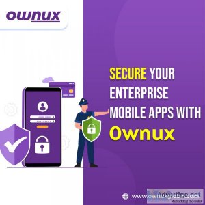 Cyber security testing services in ahmedabad, india | ownux glob