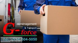 Are you looking for a reliable mover on the south shore?