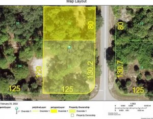 FLORIDA CORNER VACANT LOT 16275 SQFT 40000