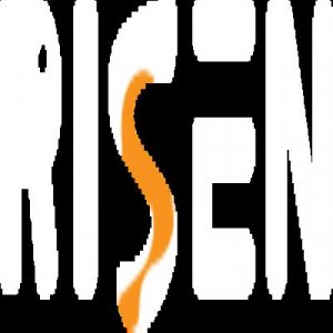 Risen amusement equipment co, ltd