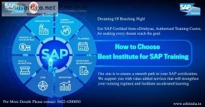 Transformation Path Career Growth