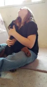 Home Raised Rottweiler Puppies Available