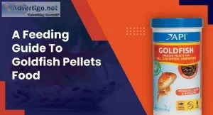 What Is The Best Type Of Fish Food