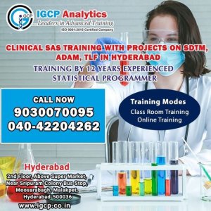 Clinical sas training