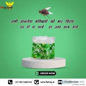 FlyTrap  Best Fly Traps for All
