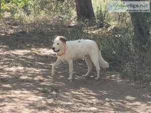 Great boy must go