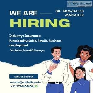 Hiring for Agency for Sr. BDMSales Manager