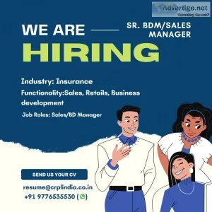 Hiring for Agency for Sr. BDMSales Manager