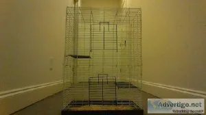 Rat Cage