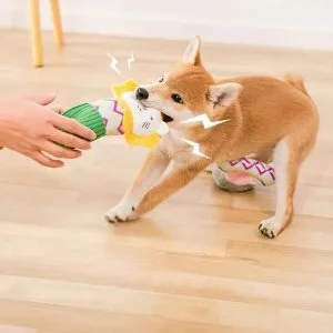 Durable And Best Quality Dog Chewy Toys At Pets Villa