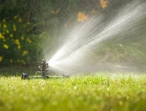 Best Landscaping installation Services Los Angeles CA