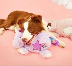 Dog and Puppy - Fun Chew and fetch toy  Pets Villa