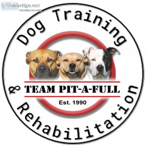Team Pit-a-Full Dog Training and Rehabilitation