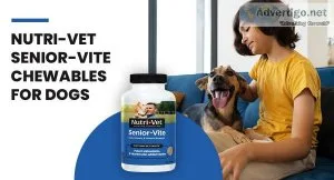Do Dogs Require Multivitamins