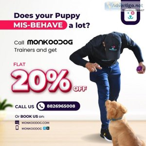 Train Your Dog with Best Dog Trainers in Delhi NCR