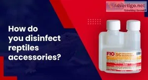 How Do You Disinfect Reptiles  Accessories