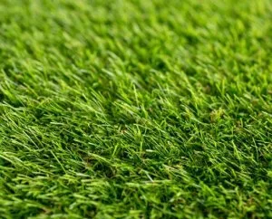 Things to consider when selecting artificial grass