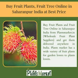 Buy fruit plants, fruit tree online in saharanpur india at best 