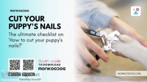 The Ultimate Checklist on &lsquoHow to Cut Your Puppy&rsquos Nai