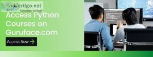 Python online course