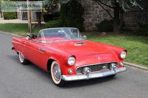 24496 1955 Ford Thunderbird